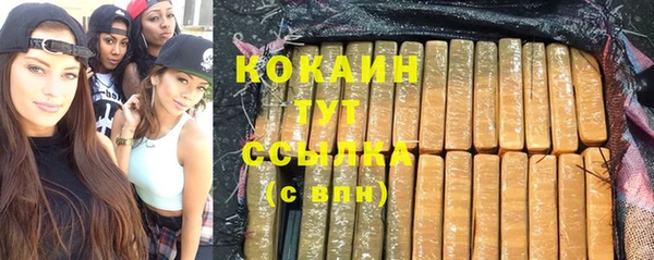 гидра Медвежьегорск