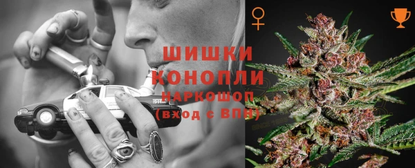 винт Губаха