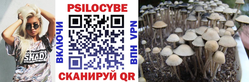 наркота  Катав-Ивановск  блэк спрут   Псилоцибиновые грибы Psilocybine cubensis 